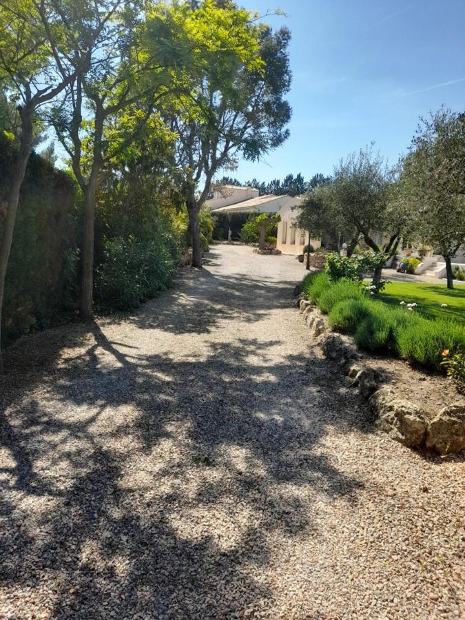 Gite Provencal Independant Avec Piscine Chauffee : Le Suy Bien Flayosc Luaran gambar