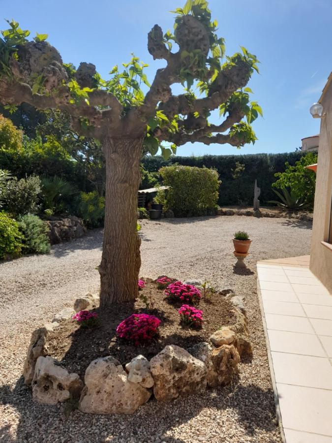 Gite Provencal Independant Avec Piscine Chauffee : Le Suy Bien Flayosc Luaran gambar
